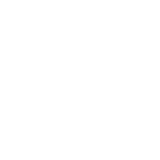 mechanic(1)
